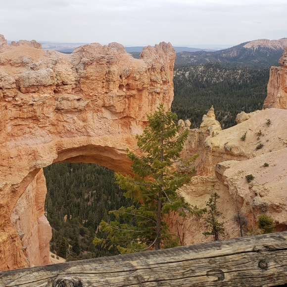 Meet your Posher - Picture 6 of 16